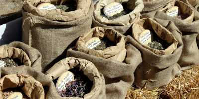 MF1292_3 Recolección de Frutos, Semillas, Hongos, Plantas y Otros Productos Forestales Comercializables MF1292_3 Recolección de Frutos, Semillas, Hongos, Plantas y Otros Productos Forestales Comercializables