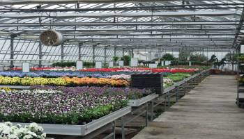 MF1485_3 Gestión de la Venta y del Servicio de Atención al Público en Floristería (A Distancia) MF1485_3 Gestión de la Venta y del Servicio de Atención al Público en Floristería (A Distancia)