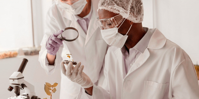 Curso Online Normas de Seguridad y Ambientales en Biotecnologia Curso Online Normas de Seguridad y Ambientales en Biotecnologia