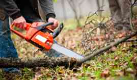 Curso Online Labores de Vigilancia y Deteccion de Incendios Forestales, Mantenimiento de Infraestructuras Asociadas e Informacion a la Poblacion Curso Online Labores de Vigilancia y Deteccion de Incendios Forestales, Mantenimiento de Infraestructuras Asociadas e Informacion a la Poblacion