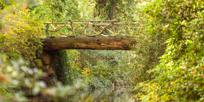 Curso Online Sistemas de Gestion Ambiental Curso Online Sistemas de Gestion Ambiental