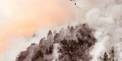 Curso Online Coordinacion de Operaciones en Incendios Forestales y Apoyo a Contingencias en el Medio Natural y Rural (Dirigida a la obtencion del Certificado de profesionalidad a traves de la acreditacion de las Competencias Profesionales R.D. 1224/2009) Curso Online Coordinacion de Operaciones en Incendios Forestales y Apoyo a Contingencias en el Medio Natural y Rural (Dirigida a la obtencion del Certificado de profesionalidad a traves de la acreditacion de las Competencias Profesionales R.D. 1224/2009)