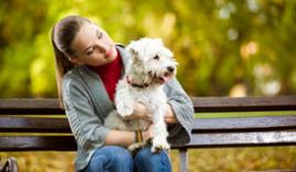 Tecnico Profesional en Psicologia, Educacion y Adiestramiento Canino Tecnico Profesional en Psicologia, Educacion y Adiestramiento Canino