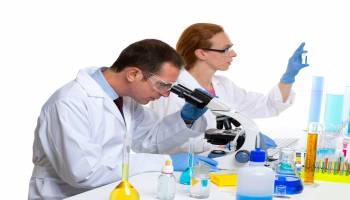 Curso Recuento, Aislamiento, Identificacion y Determinacion de Actividad Biologica de los Microorganismos (A Distancia) Curso Recuento, Aislamiento, Identificacion y Determinacion de Actividad Biologica de los Microorganismos (A Distancia)