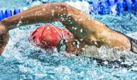 UF1714 Análisis Diagnóstico y Pruebas de Nivel en Actividades de Natación (A Distancia) UF1714 Análisis Diagnóstico y Pruebas de Nivel en Actividades de Natación (A Distancia)