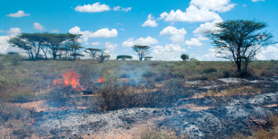 UF2370 Sistemas y Técnicas para la Prevención de Incendios Forestales. Mantenimiento de Infraestructuras de Prevención y Extinción UF2370 Sistemas y Técnicas para la Prevención de Incendios Forestales. Mantenimiento de Infraestructuras de Prevención y Extinción