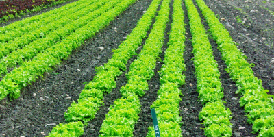 Valoraciones de Instalaciones Agrarias Basico Valoraciones de Instalaciones Agrarias Basico