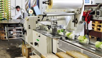 INAD029PO LIMPIEZA Y DESINFECCIÓN EN LA INDUSTRIA ALIMENTARIA (SECTOR: INDUSTRIAS DE ALIMENTACIÓN Y BEBIDAS) INAD029PO LIMPIEZA Y DESINFECCIÓN EN LA INDUSTRIA ALIMENTARIA (SECTOR: INDUSTRIAS DE ALIMENTACIÓN Y BEBIDAS)