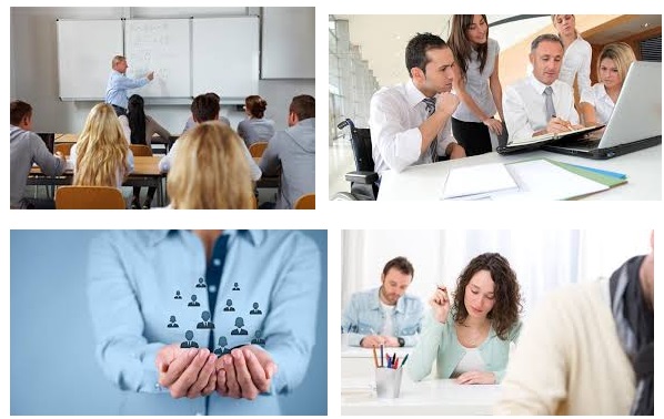 Curso Docencia De La Formacion Profesional Para El Empleo