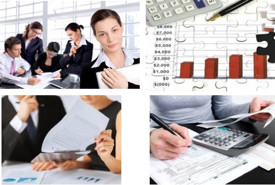 Experto en Contabilidad (Online)