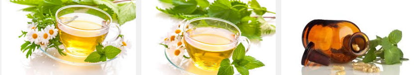 naturopatia online naturopatia online