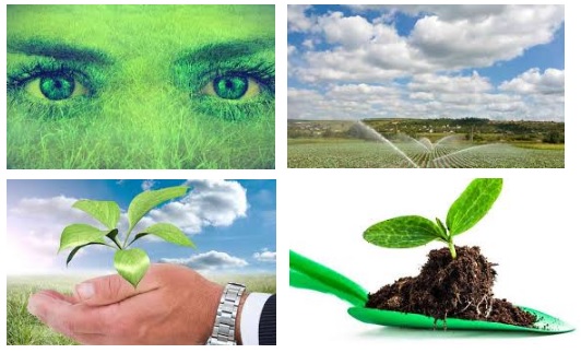 Servicios para el Control de Plagas (Dirigida a la Acreditación de las Competencias Profesionales R.D. 1224/2009) (Curso online)