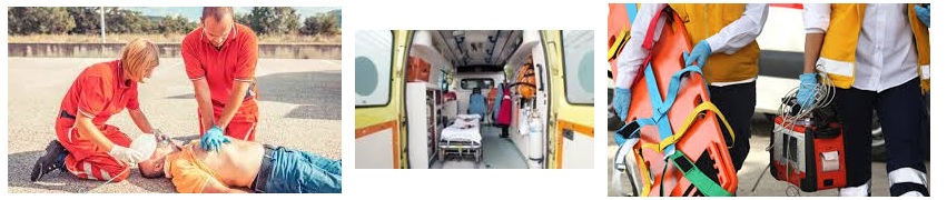 Técnico en Transporte y Emergencias Sanitarias (Online)