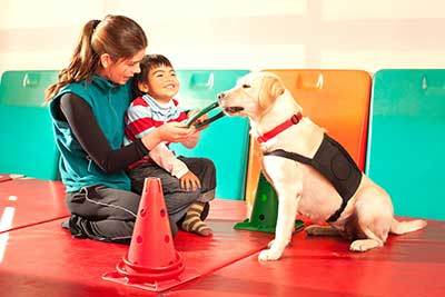 curso de adiestramiento canino en torrent gratis cursos online curso de adiestramiento canino en torrent gratis cursos online