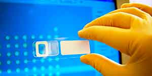 Master ciberseguridad