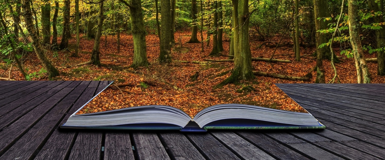 Bienvenido a la Bolsa de Empleo de Euroinnova Business School