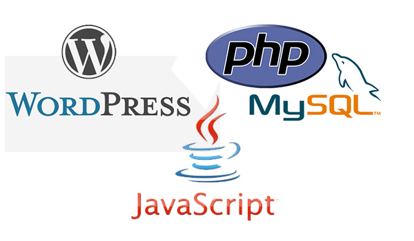 Curso Programador Web Wordpress