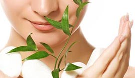 Curso Tecnico Naturopatia