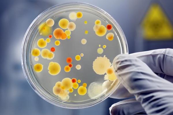 Laboratorio Diagnostico Clinico