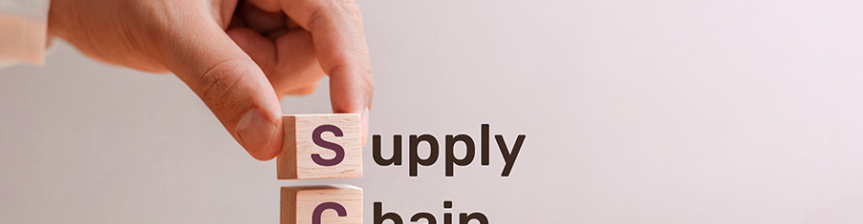Curso Superior en Administracion de la Cadena de suministro (Supply Chain Management)