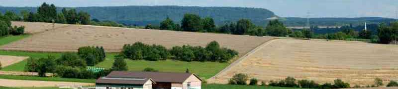 ENAC003PO Ahorro y Eficiencia Energetica en la Agricultura (Sector: Produccion, Manipulado, Envasado para el Comercio y Exportacion de Citricos, Frutas, Hortalizas, Flores y Plantas Vivas)