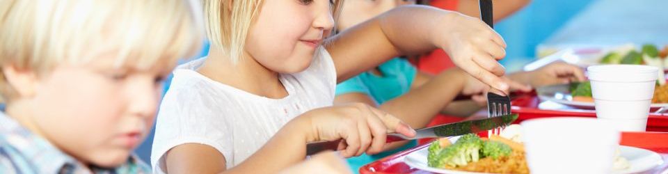 Cursos homologados en Comedores Escolares Cursos en Comedores Escolares