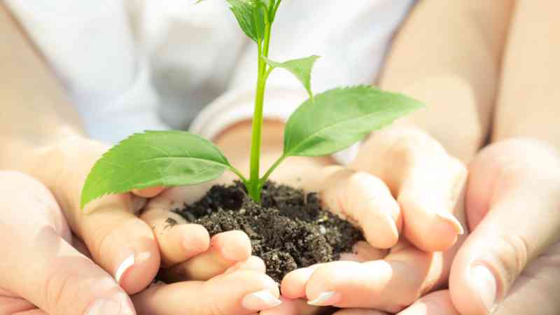 Postgrado Online Contaminacion Medioambiental Homologado