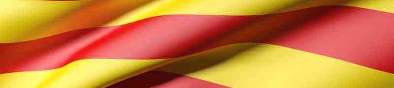 Curso Catalan Online (Curso Intensivo de Catalan A1-A2. Nivel Oficial Marco Comun Europeo)