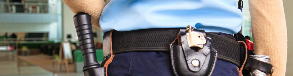 CURSO DE SCANNER CONTROL DE ACCESOS