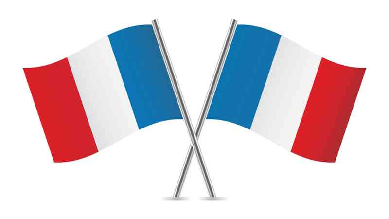 Experto en Dificultades de Aprendizaje y Planificacion de la Formacion en Frances para Maestros de Primaria en Frances (Curso Homologado y Baremable en Oposiciones para Maestros de Frances: Doble Titulacion + 4 Creditos ECTS)