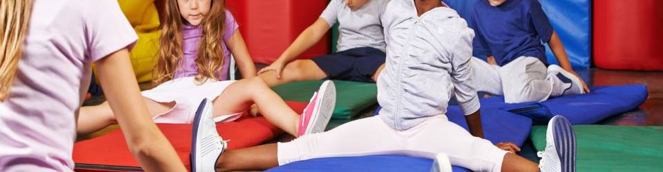 Especialista en Educacion Fisica: Aplicacion del Juego como Recurso Didactico + Titulacion Universitaria en Didactica de la Educacion Fisica con 4 Creditos ECTS