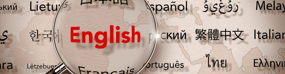  Cursos en traductor 