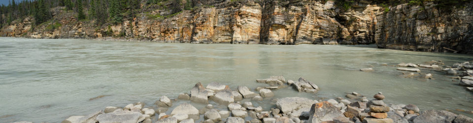 Curso Euskera Online