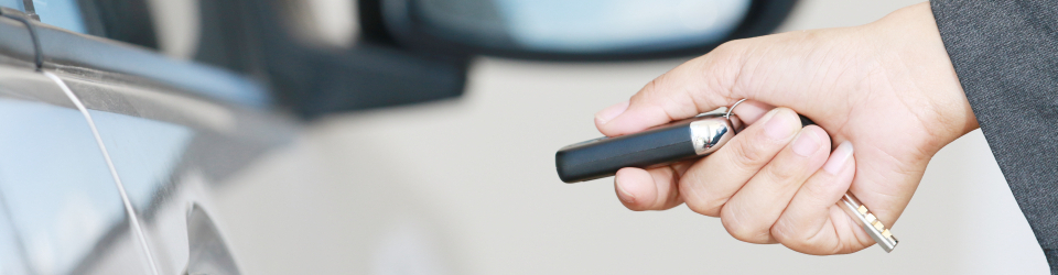 Especialista en el Factor Humano en la Conduccion