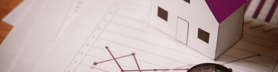 Especialista en Finanzas en el Sector Inmobiliario