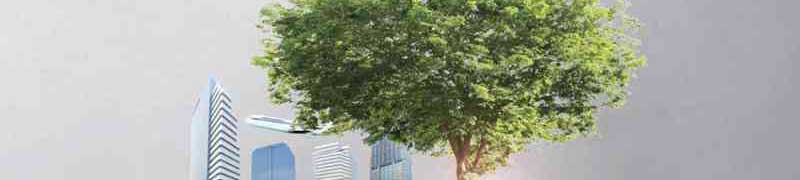 ADGD016PO Fundamentos de Auditoria Energetica (Sector: Empresas de Consultoria y Estudios de Mercados y Opinion Publica)