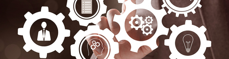 Especialista en Integracion de Sistemas de Gestion. ISO 66177