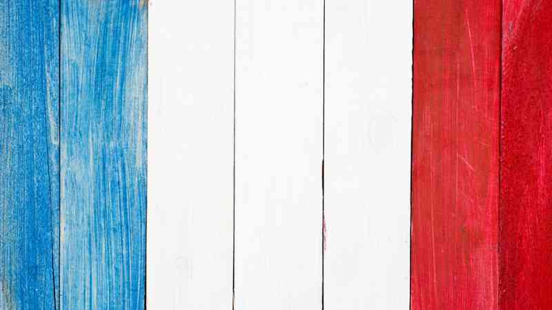 Curso Intensivo Frances C1. Nivel Oficial Marco Comun Europeo