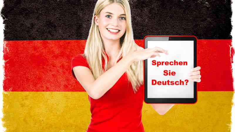 Curso Lengua Extranjera Profesional Distinta Del Ingles Asistencia Direccion Homologado