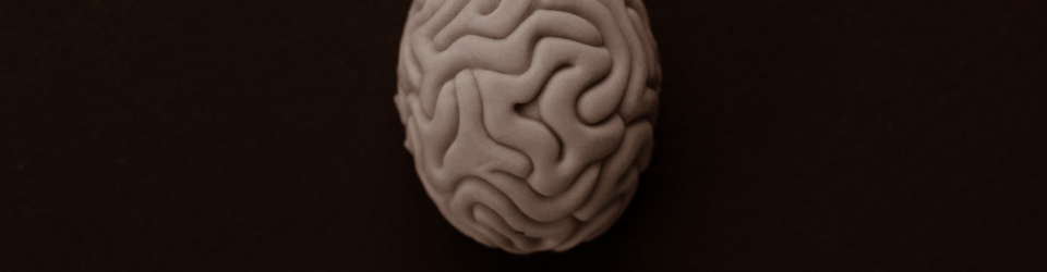 Curso Superior Neuropsicologia Clinica