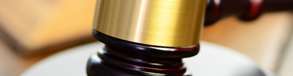 Perito Judicial en Politica Economica + Titulacion Universitaria en Elaboracion de Informes Periciales (Doble Titulacion con 4 Creditos ECTS)