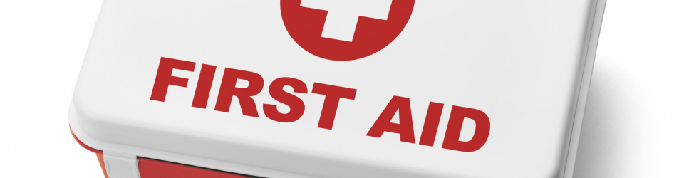 Primeros Auxilios y Atencion Sanitaria en Geriatria