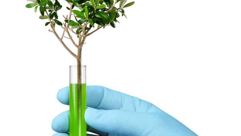 Curso Sostenibilidad Medioambiental Derecho Ambiental Homologado