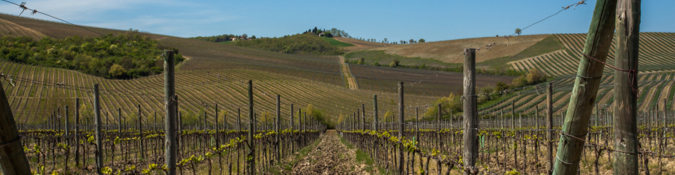 Curso de El Suelo de Cultivo y las Condiciones Climaticas