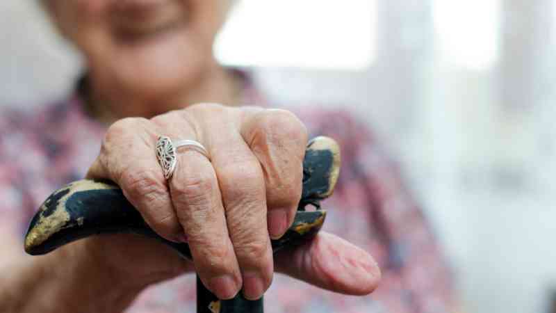 Curso en Geriatria y Gerontologia (Titulacion Universitaria + 8 Creditos ECTS)