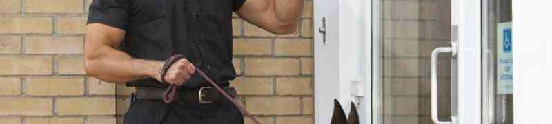 Vigilante de Seguridad + Vigilante de Explosivos (Doble Titulacion - Valido para la Acreditacion de las Competencias Profesionales SEAD0112 + SEAD0212)