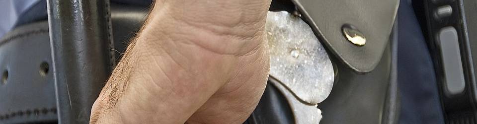 CURSO VIGILANTE DE SEGURIDAD