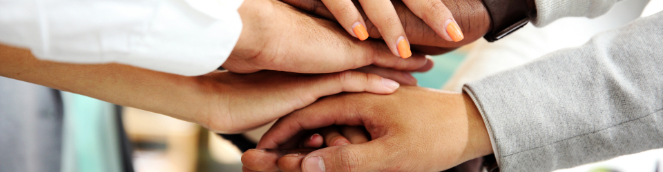 Curso Practico: Decision de Compra en Clientes Individuales y entre Empresas