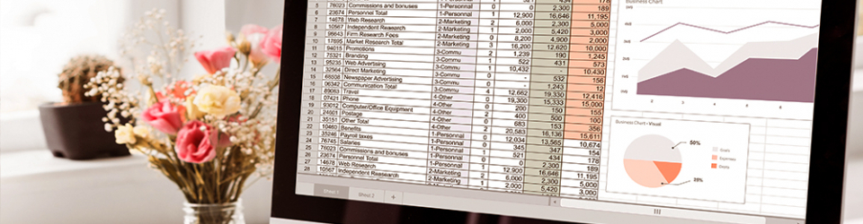 curso-excel-avanzado-big-data-curso-homologado-euroinnova