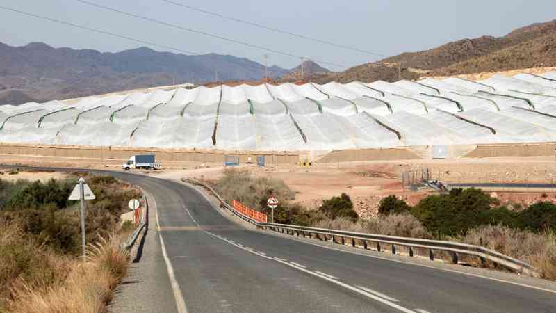 Master Gestion Agropecuaria